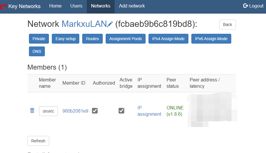 ZeroTier 搭建教程